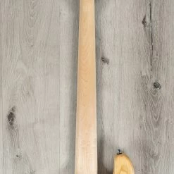 Mayones Jabba Mala 5 Federico Malaman Signature 5-String Bass, Blue Burst, Pau Ferro, Eye Poplar, Aguilar Pickups -Musical Instrument Store 20201109 dsc03242