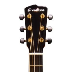 Breedlove Artista Concertina Natural Shadow CE Acoustic Electric Guitar (B-STOCK) -Musical Instrument Store blv arca21cetemy bstk 6