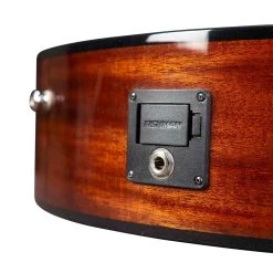 Breedlove Discovery S Concert Nylon CE Classical Acoustic Guitar, Red Cedar Top (B-STOCK) -Musical Instrument Store blv dscn01ncercam bstk 6