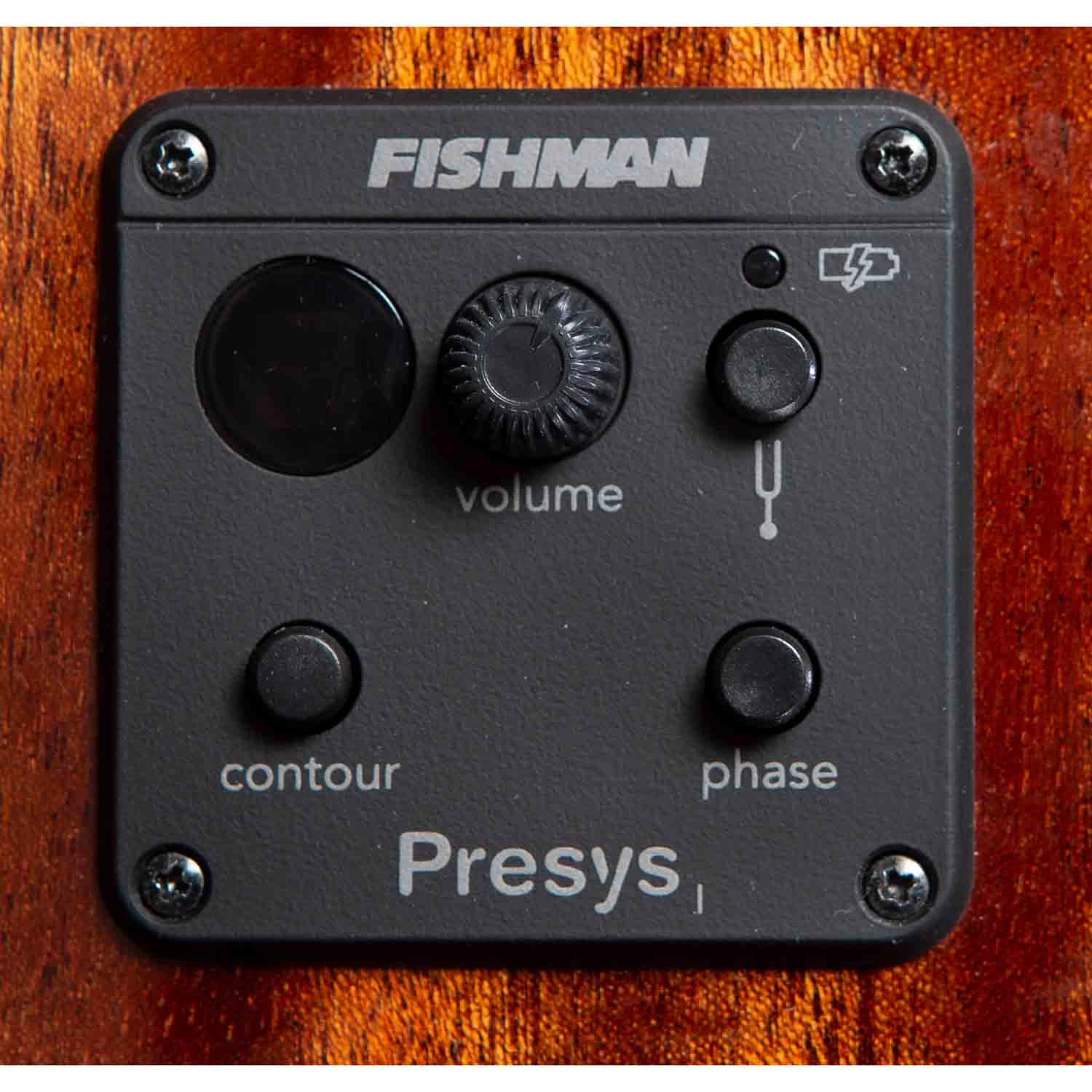 Breedlove Discovery S Companion Edgeburst CE Acoustic Guitar, Mahogany W/ Red Cedar 8 Breedlove Discovery S Companion Edgeburst CE Acoustic Guitar, Mahogany W/ Red Cedar - Image 6