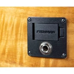 Breedlove Pursuit Exotic S Concert Amber 12-String CE Acoustic Guitar, Myrtlewood -Musical Instrument Store blv pscn49xcemymy 7