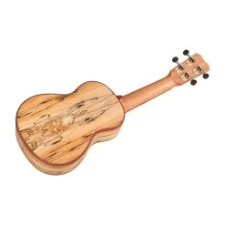 Cordoba 03981 24S Spruce Uke Ukulele W/ Spalted Maple Back & Sides, Soprano -Musical Instrument Store cor 03981 4