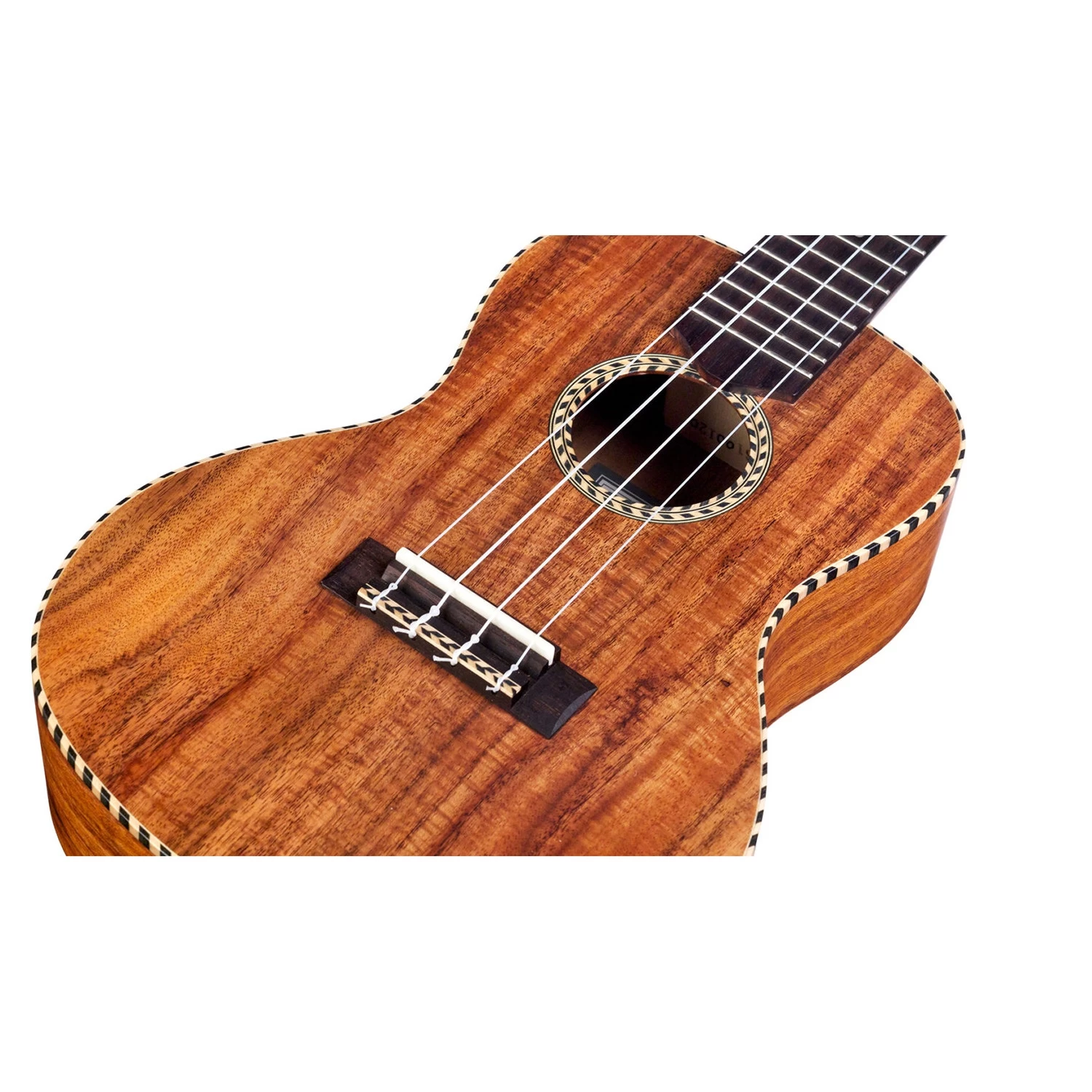 Cordoba 04041 25C Uke Ukulele, All-Acacia Body, Pau Ferro Fretboard 5 Cordoba 04041 25C Uke Ukulele, All-Acacia Body, Pau Ferro Fretboard - Image 3