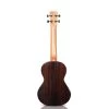 Cordoba 22T Tenor Ukulele -Musical Instrument Store cor 22t 2