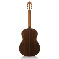 Cordoba C10 CD/IN Acoustic Nylon String Classical Guitar -Musical Instrument Store cor c10 2