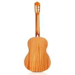 Cordoba C5 SB Nylon String Classical Acoustic Guitar - Sunburst 7 Cordoba C5 SB Nylon String Classical Acoustic Guitar - Sunburst -Musical Instrument Store cor c5 sb 2