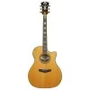 D'Angelico Guitars DAEG200VNATGP Excel Gramercy Acoustic Electric Guitar, Vintage Natural -Musical Instrument Store dan daeg200vnatgp 1