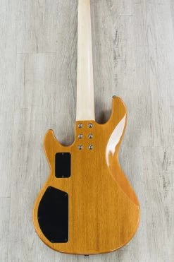 G&L USA L-2500 5 String Bass, Exotic Ovangkol Top And Mahogany Body, Rosewood Fretboard -Musical Instrument Store dsc05205