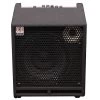 Eden TN2251 Terra Nova 225-Watt 1x12" Bass Guitar Combo Amp -Musical Instrument Store eden tn2251 u 1