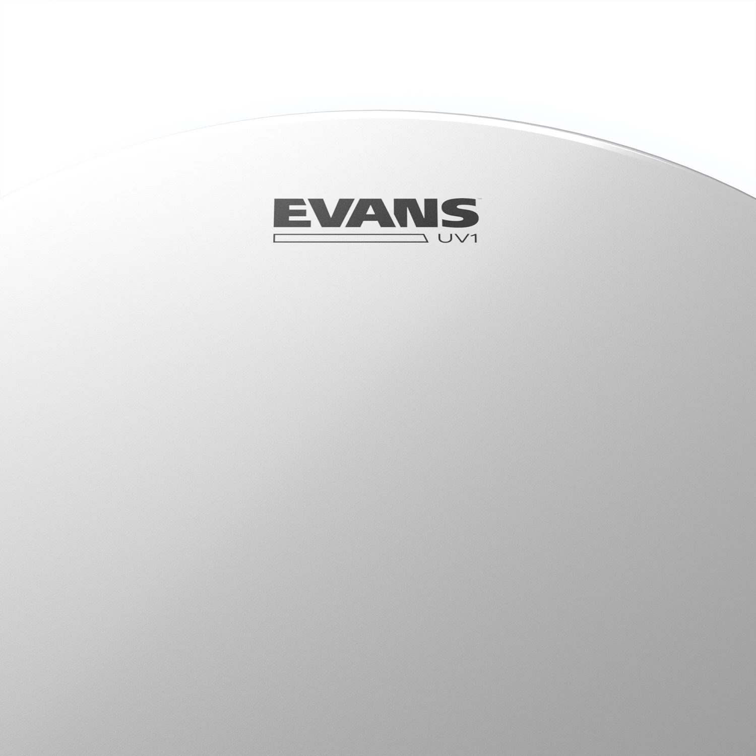 Evans Drumheads UV1 Series B10UV1 Coated Drum Head - 10" 4 Evans Drumheads UV1 Series B10UV1 Coated Drum Head - 10" - Image 2