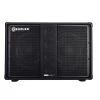 Genzler Amplification BA210-3 Slant Bass Speaker Cab, 2x10, 500w, 8 Ohms