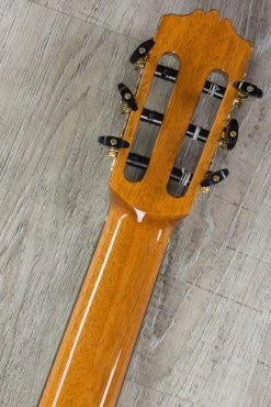 Cordoba C9 CD-MH Cedar Top Nylon-String Classical Guitar -Musical Instrument Store img 5193