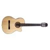 Kremona Rosa Luna Nylon Classical Acoustic Electric Guitar, European Spruce Top -Musical Instrument Store kna luna cw 1