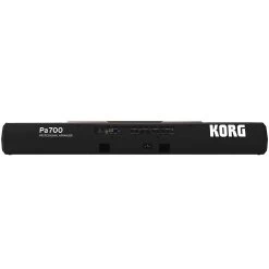 Korg Pa700 Oriental 61-Key Arranger Workstation -Musical Instrument Store krg pa700 or 2 copy