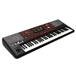 Korg Pa700 Oriental 61-Key Arranger Workstation -Musical Instrument Store krg pa700 or 3 copy 1
