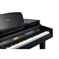 Kurzweil MPG100 Digital Mini Grand Piano, 88-Note, Fully Weighted Hammer Action -Musical Instrument Store kurz dship mpg100 u 5