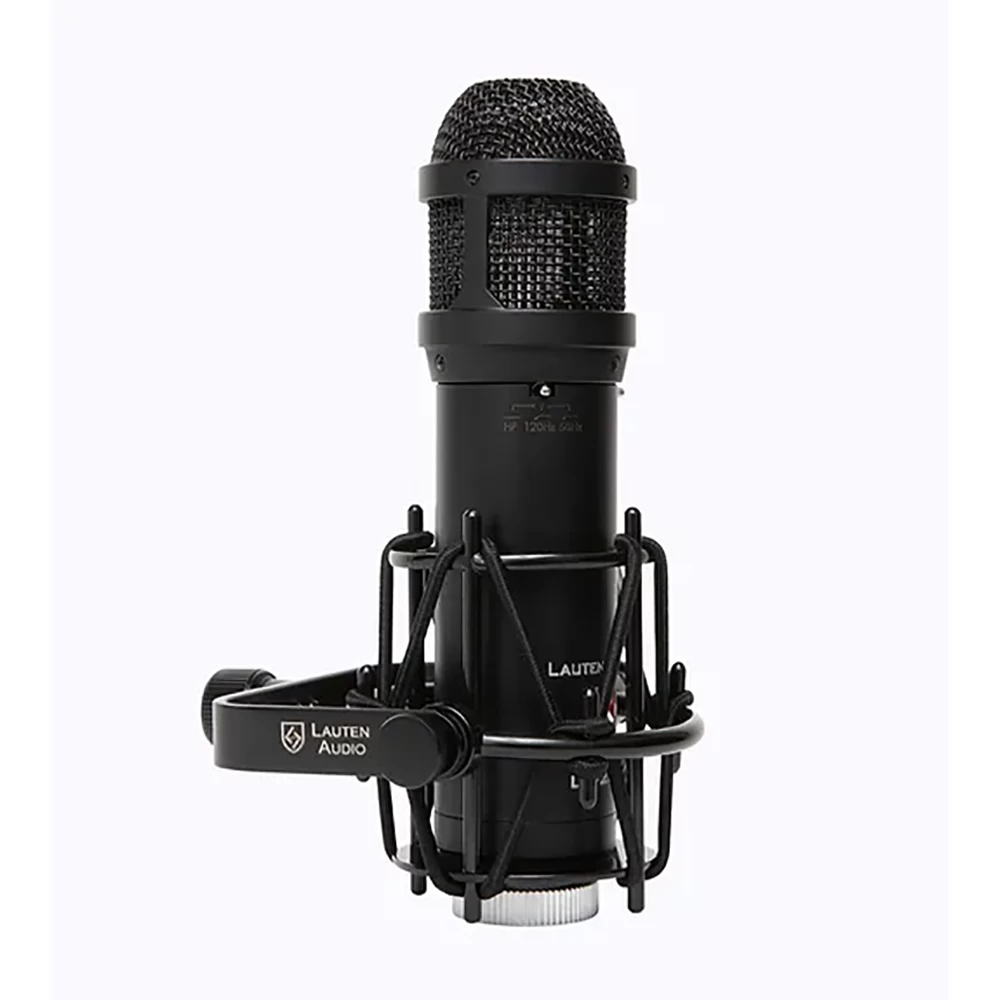 Lauten Audio LS-208 Large-Diaphragm Front-Address Cardioid Condenser Microphone 5 Lauten Audio LS-208 Large-Diaphragm Front-Address Cardioid Condenser Microphone - Image 3
