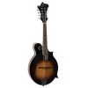 The Loar LM-520 Performer F-Style Mandolin, Solid Spruce Top, Vintage Sunburst -Musical Instrument Store loar lm 520 vs 1