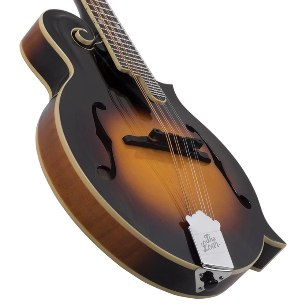 The Loar LM-520 Performer F-Style Mandolin, Solid Spruce Top, Vintage Sunburst 5 The Loar LM-520 Performer F-Style Mandolin, Solid Spruce Top, Vintage Sunburst - Image 3