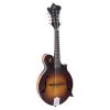 The Loar LM-590E Contemporary F-Style Mandolin W/ Pickup, Satin Tobacco Sunburst 1 The Loar LM-590E Contemporary F-Style Mandolin W/ Pickup, Satin Tobacco Sunburst -Musical Instrument Store loar lm 590e ms 1