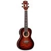 Luna UKE-15TH-C Uke 15th Anniversary Concert Ukulele W/ Preamp & Hardshell Case -Musical Instrument Store luna uke 15th c 1