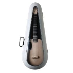 Musical Instrument Store 10 Musical Instrument Store -Musical Instrument Store lvm u l2 gold26 2