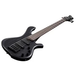 Mayones BE 5 5-String Bass Guitar In Gothic Ash