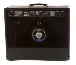 Peavey Bandit 112 Guitar Combo Amp, 100 Watts, 00583640 -Musical Instrument Store peavey bandit 112 transtube amplifier 1720030 3
