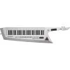 Roland AX-Edge 49-Key Keytar Synthesizer, White -Musical Instrument Store rol ax edge w 1