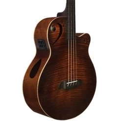 Sawtooth Rudy Sarzo Fretless Acoustic Electric Bass, Ebony Fingerboard, Satin Violin -Musical Instrument Store sawt afb24ec fmsv 4