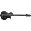 Schecter 459 DUg Pinnick DP-12 12-String Bass, Ebony Fretboard, Satin Black -Musical Instrument Store schtr dp 12 1