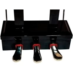 Suzuki MDG-330 Mini Grand Digital Piano W/ Bench, Black Hi Gloss -Musical Instrument Store szki dship mdg 330 bl u 7