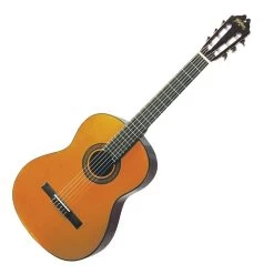 Washburn C40 Classical Guitar