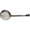 Washburn B16 5-String Americana Banjo, Flame Maple Back & Sides, Tobacco Sunburst -Musical Instrument Store wash dship b16k d u 1