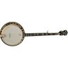 Washburn B17 5-String Americana Banjo, Flame Maple Back & Sides, Tobacco Sunburst -Musical Instrument Store wash dship b17k d u 1