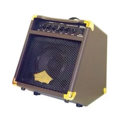 Washburn WA20 Acoustic Guitar Amplifier